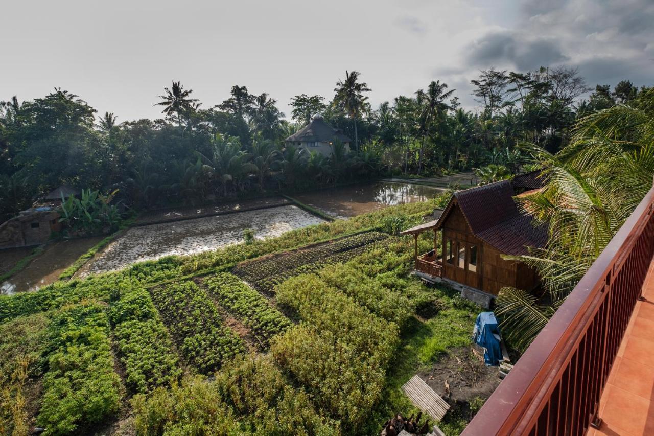 Kemangi, Katik Lantang, Ubud, Bali Leilighet Eksteriør bilde