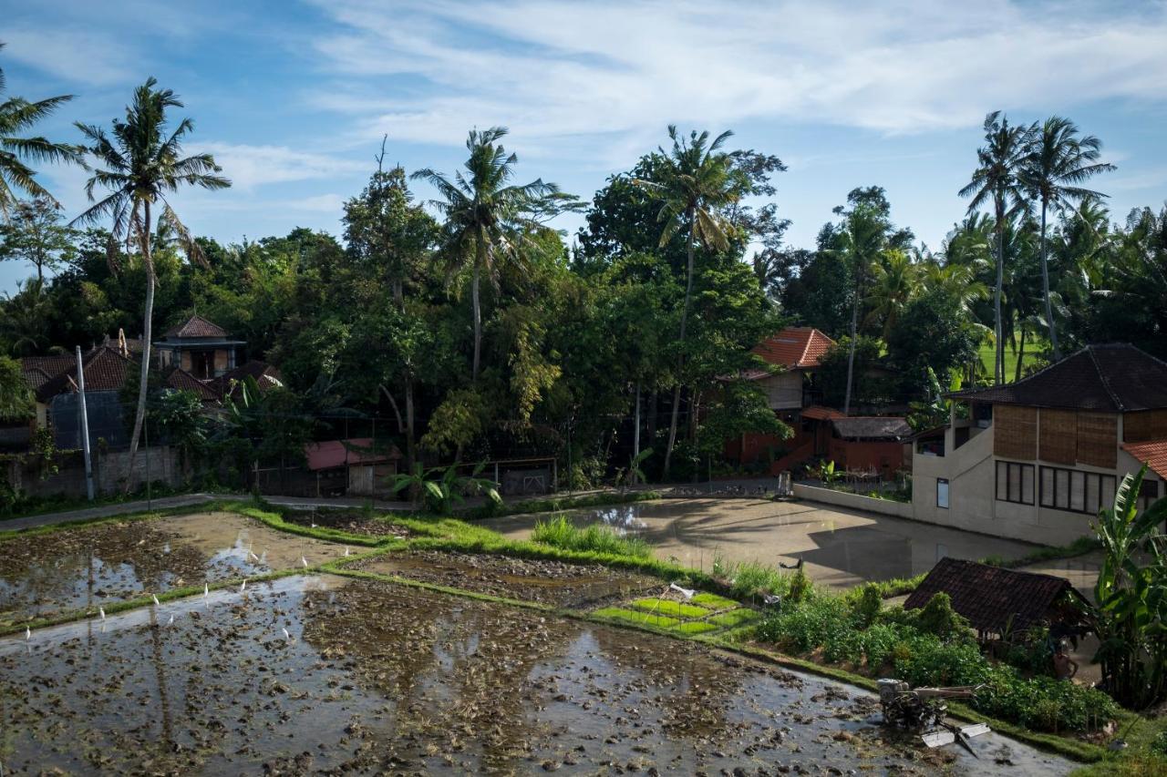 Kemangi, Katik Lantang, Ubud, Bali Leilighet Eksteriør bilde